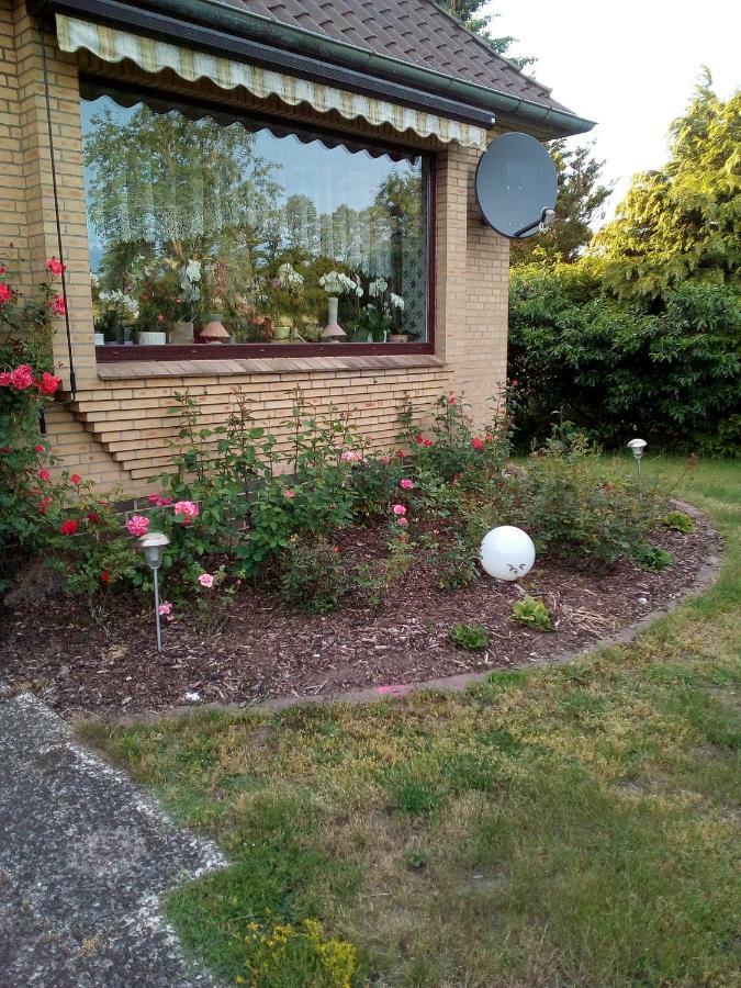 Ferienwohnung Bohndorf ภายนอก รูปภาพ